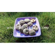 Smooth Shiitake Mushrooms 1kgs Pack con tapa 4-6cm y sin tallo